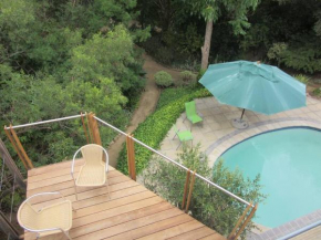 Pecan Tree Studio 1 with Forest View